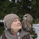 ���� ������, ��������, 40 ��� - ��������� 18 ���� 2018 � ������ ���� ����������