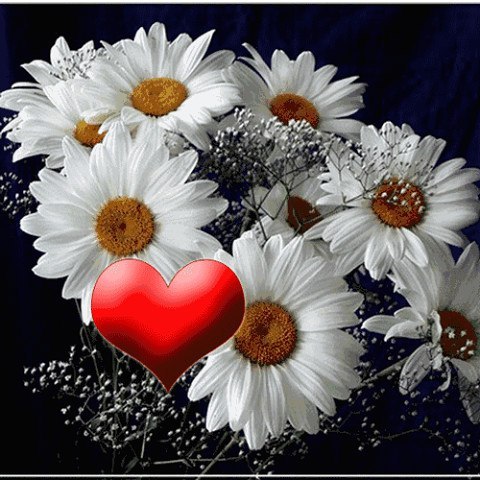  ,  !) ,   ,    -   !))   ...