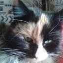 ���� ������, ������� - ��������� 3 ����� 2018 � ������ ���� ����������