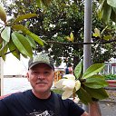  , -, 61  -  12  2018    