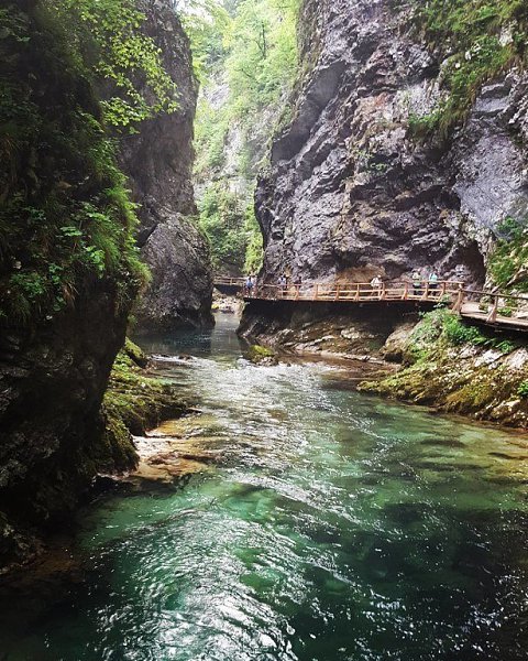 Ущелье Винтгар (Vintgar Gorge) достопримечательность в Словении. Очень интересный природный парк с ... - 3