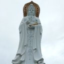   ( ),  2017   .,; ,2017