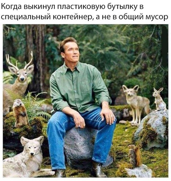   - 3  2017  18:23