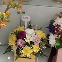 ���� ������, ������ - ��������� 12 ���� 2018 � ������ ���� ����������