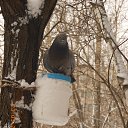 ���� ����, �����-��������� - ��������� 24 ����� 2018 � ������ ���������.�