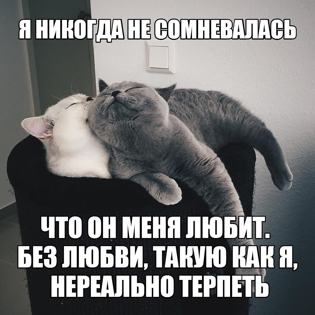   - 28  2017  03:50