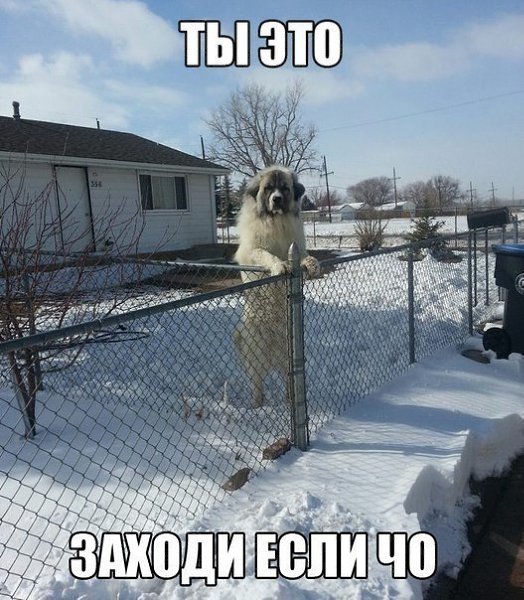  ! - 14  2017  03:26