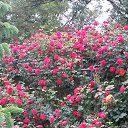 ���� �������, ���������, 65 ��� - ��������� 20 ��� 2018 � ������ ���� ����������