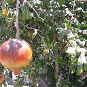 ���� �����, ������ - ��������� 10 ������� 2017