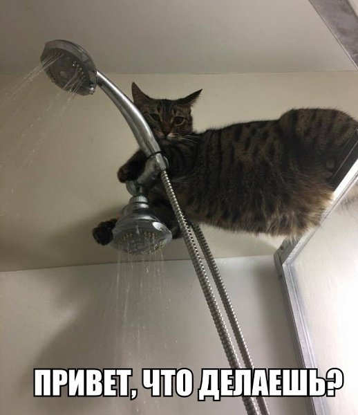  -  - 18  2018  03:54