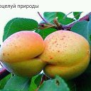 ���� ����, ����������, 65 ��� - ��������� 2 ������� 2017 � ������ �������.�