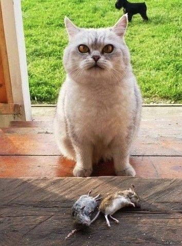 -   .., ?..    !..    - , ...