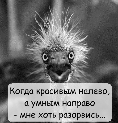 ...     :)