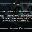 ���� �����, ������, 40 ��� - ��������� 26 ������ 2017 � ������ ��������