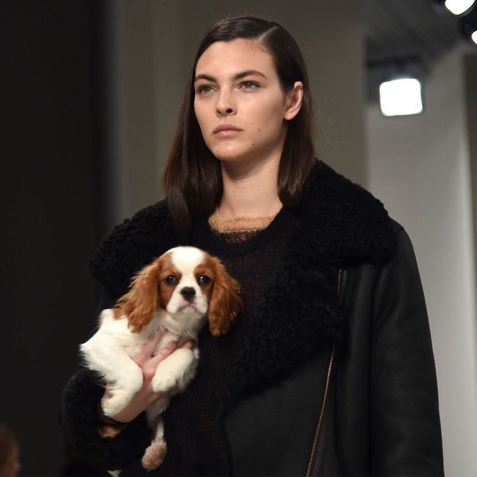   TodS Fall 2018,     . - 7