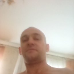 Lev,  , 43 