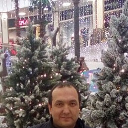 Albert, ���������, 47 ���