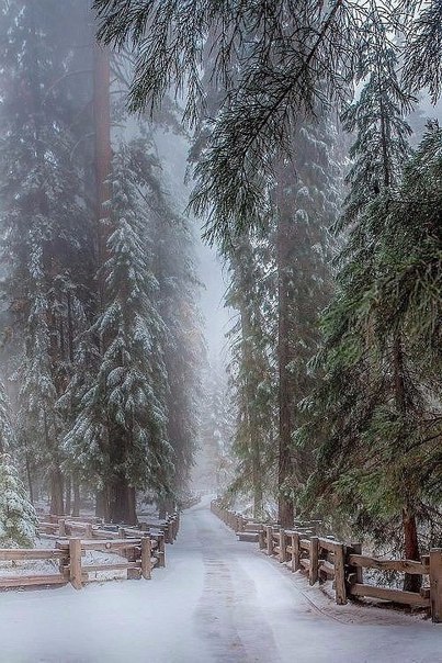  ... #just_travel # #