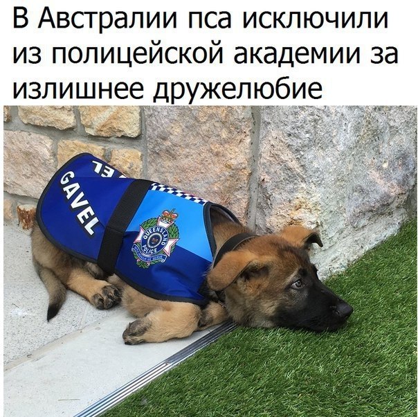   -   - 4  2018  02:45