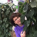 ���� �����, �������, 57 ��� - ��������� 22 ������ 2017 � ������ ���� ����������