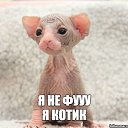  Milena,  -  7  2018    