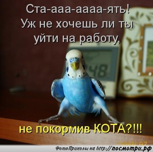    - 6  2018  03:12