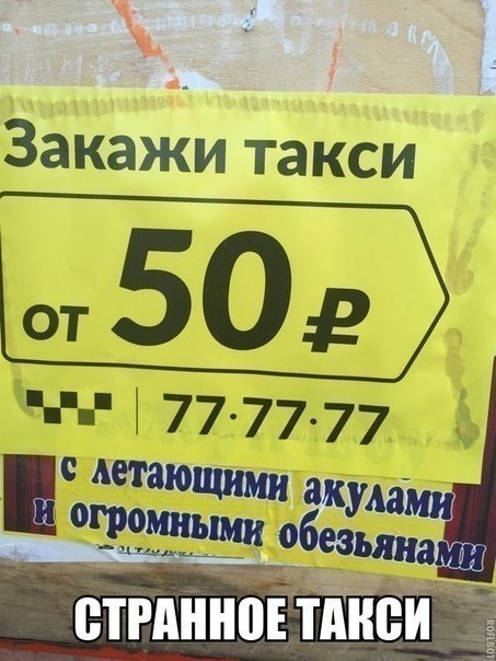    :D - 8  2018  02:43