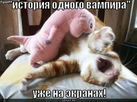 � ����� �����! - 27 ������� 2017 � 15:50