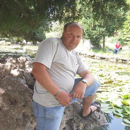 �������, �����������, 43 ����