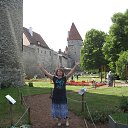  galina;(133),  -  17  2018    