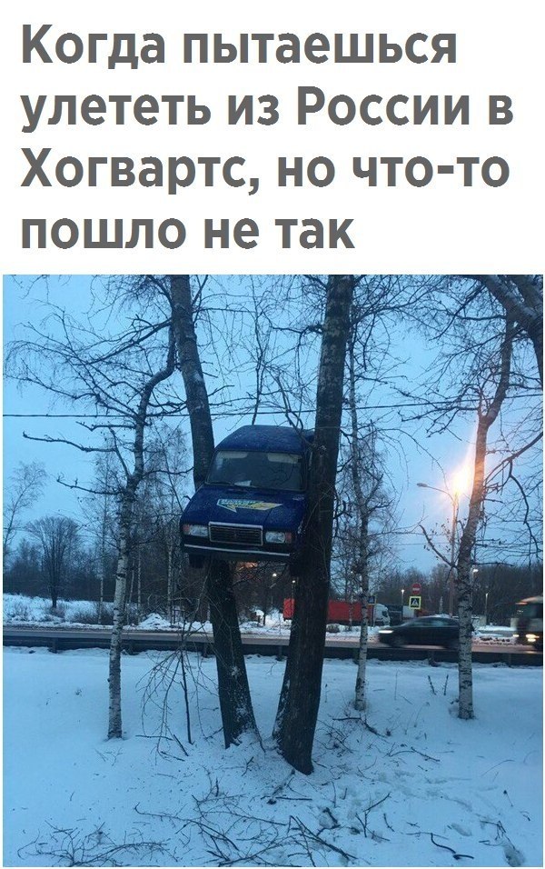  - 23  2017  03:36