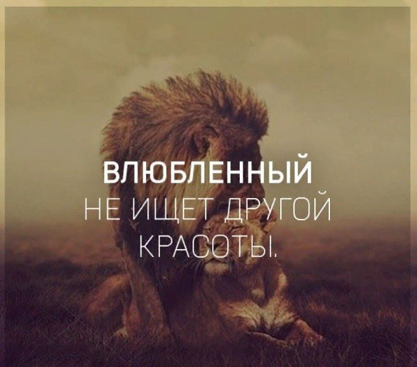     - 24  2018  03:57