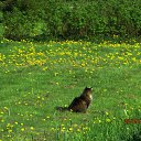 ���� ��������, Kouvola, 78 ��� - ��������� 23 ��� 2018 � ������ ����������������� ����