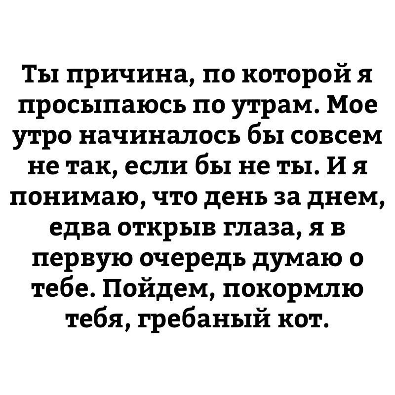   - 11  2018  03:36
