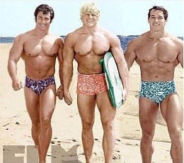 �����������