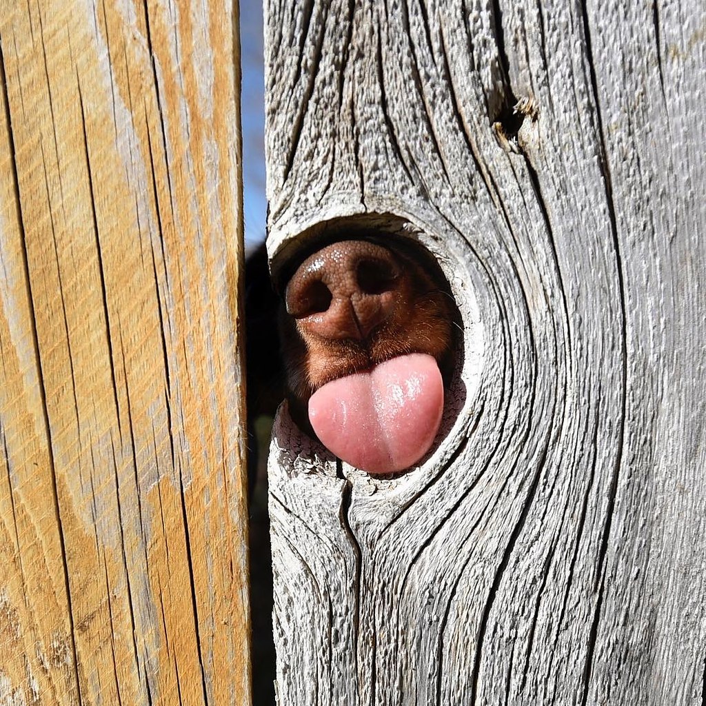    !