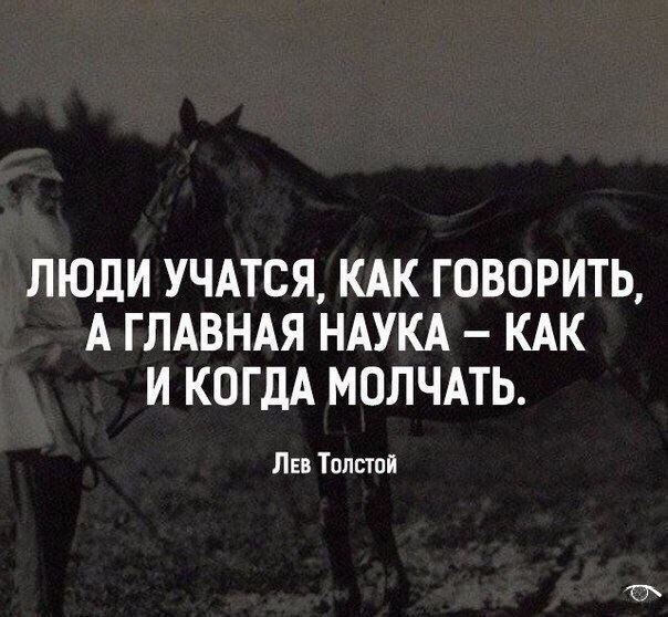 BEST | , ,  - 19  2018  03:53