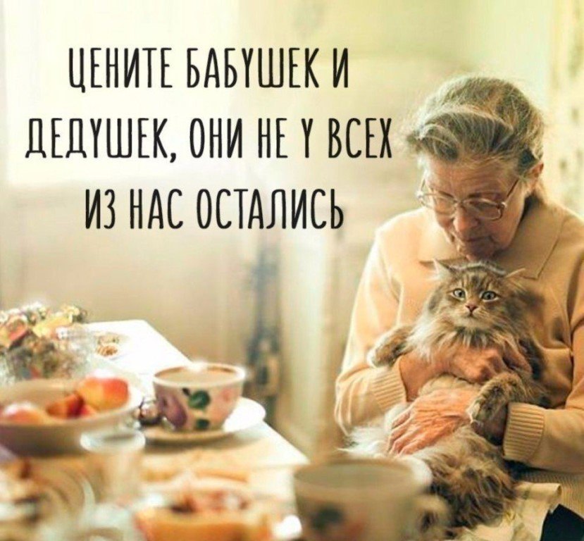 ��� ����� - 23 ������� 2017 � 03:41