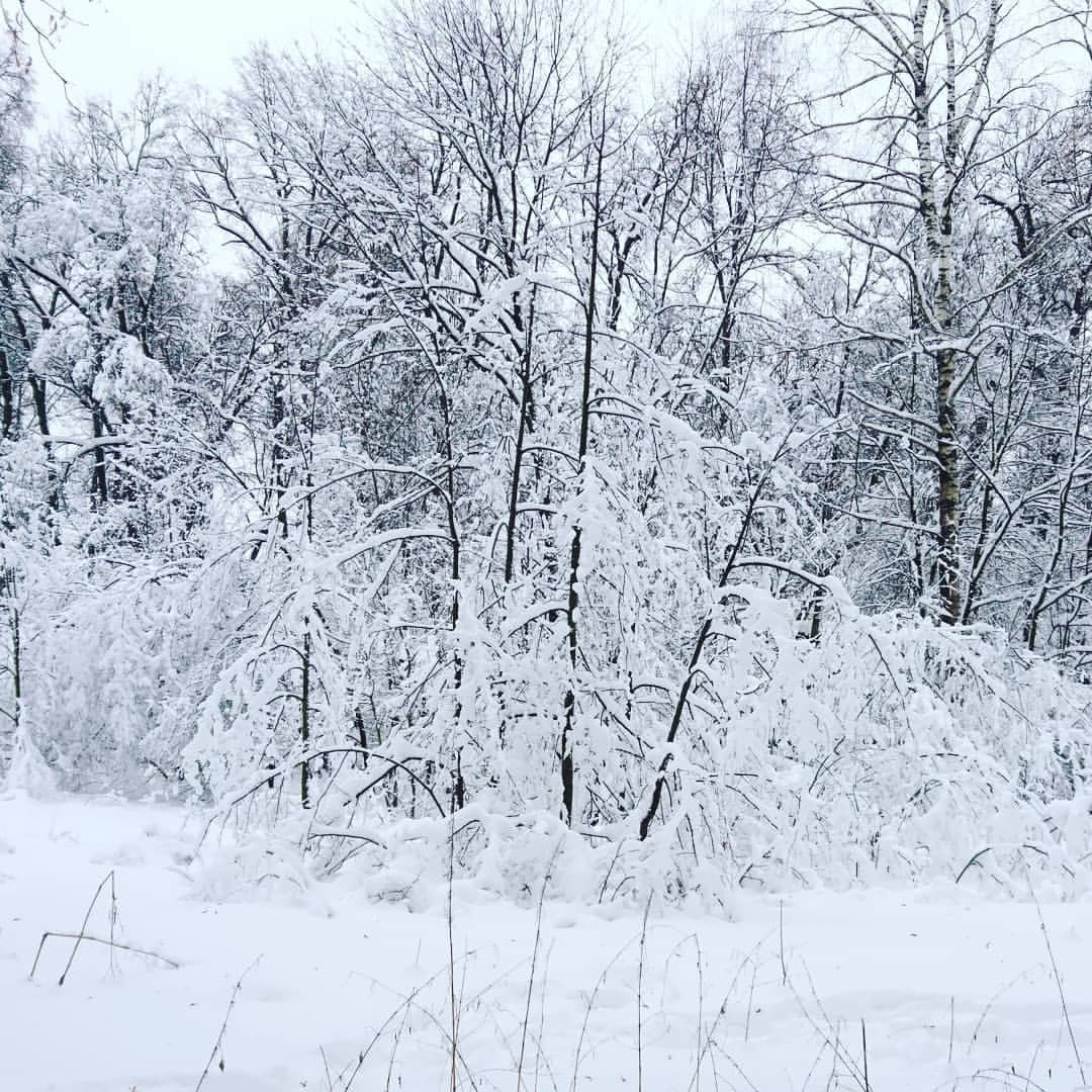 Landscape nature winter #kimbelijru | #snowwhite #winter #pic #photo #photographer #macrophotography ...