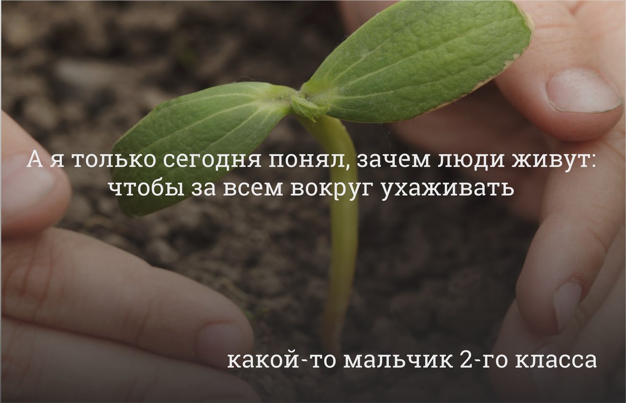 Периодически в разных странах составляются *Рейтинги Сожалений*. Людей в возрасте 70-80-90 лет ...