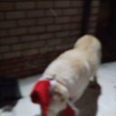 ���� �������, ������, 59 ��� - ��������� 25 ������ 2018 � ������ ���� ����������