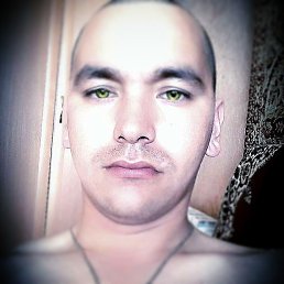 ������, �������������-����������, 36 ���