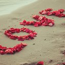 ���� �������, ������ - ��������� 10 ������� 2018 � ������ ���� ����������