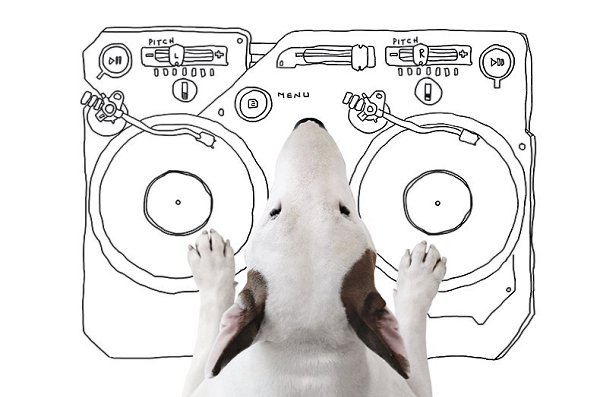 DJ Msi Буль за пультом скидывайте в комент любимую песню