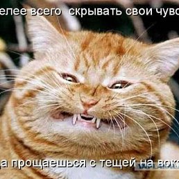 ���� ��������, �����, 52 ���� - ��������� 17 ����� 2018