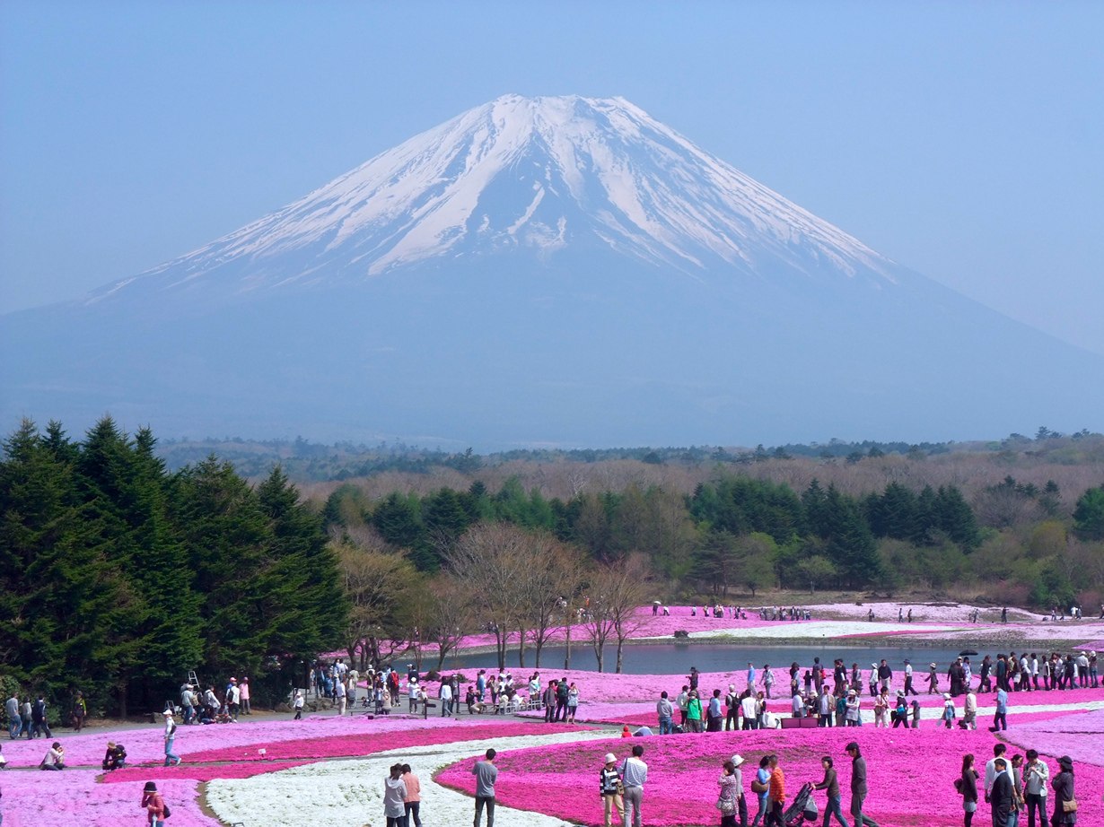 )))..  Hitsujiyama.  