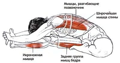 Джану Ширшасана.Перевод с санскрита:Поза головы на коленеПоказания:Высокое давление, менопауза, ... - 2