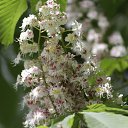  , , 68  -  23  2018    2018