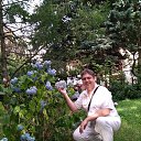 ���� ��������, ������, 51 ��� - ��������� 30 ������ 2018 � ������ ���� ����������