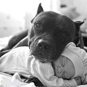 ���� ����, ����, 42 ���� - ��������� 5 ������ 2018 � ������ ���� ����������